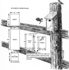 the diagram shows how to build a birdhouse for birds and their nests, as well as its surroundings