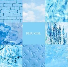 blue hues and patterns are featured in this collage with the words bleu ciel