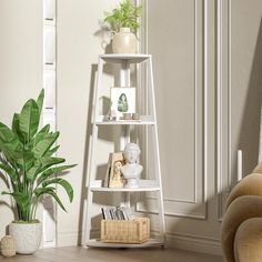 a white shelf with plants and pictures on it next to a plant in a pot