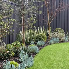 a garden with green grass and plants next to a metal fence in front of a building