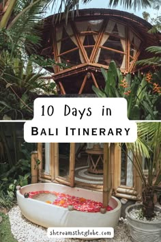 the top ten things to do in bali itinerary with text overlay that reads 10 days in bali itinerary