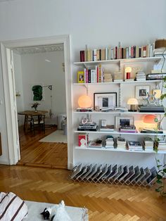 a cat is laying on the floor in front of a bookshelf