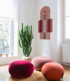 three different colored stools in front of a potted cactus on the floor next to a window