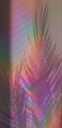 the shadow of a palm tree leaves on a window sill in front of a multicolored background