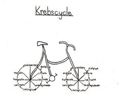 a drawing of a bicycle with the words kerboscycle written in different languages