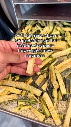 Freeze Dried Veggie Straws, Freeze Dried Zucchini, Freeze Dried Zucchini Chips, Freeze Dried Veggie Chips, Freeze Dried Pickles, Healthy Freeze Dried Snacks, Freeze Dryer Ideas, Freez Dryer