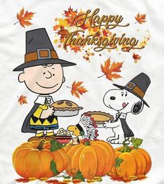 a charlie brown thanksgiving card with a dog and pumpkins