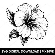 a black and white flower with the text svg digital download / pxhive