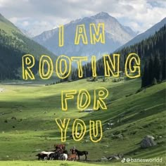 the words i am rooting for you are written in yellow on a green field with horses