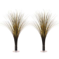 two tall vases with grass in them on a white background, one is black and the other is gold