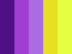 an image of a color scheme with different colors in the same section, including purple and yellow