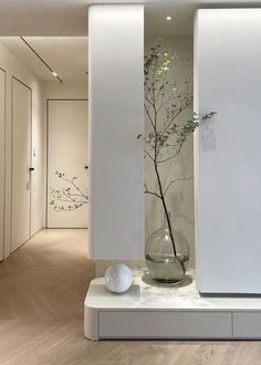 there is a vase with a plant in it and two balls sitting on the floor