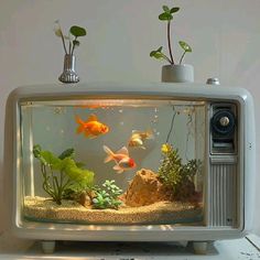 an old tv with plants and fish in it