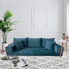 a living room with white walls and blue couches in front of a large potted plant