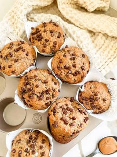 muffins with chocolate chips in the middle