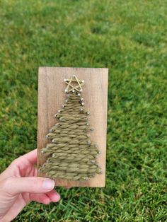 someone is holding up a small christmas tree on a piece of wood in the grass