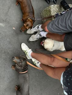 three dogs and two people are sitting on the ground with their feet in the air