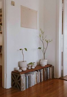 three potted plants sit on top of bookshelves in a room with hardwood floors