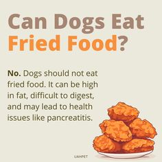 a poster with an image of fried food on the front and back of it that says, can dogs eat fried food?