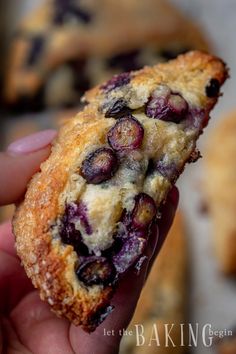 a hand holding a piece of blueberry scones