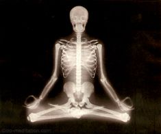 Peace Poster, Meditation Retreat, Yoga Positions, Yoga For Kids, Yoga Fashion, Radiology, Skull Art, Yoga Class, X Ray