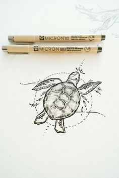 two pencils sitting on top of a paper next to a drawing of a turtle