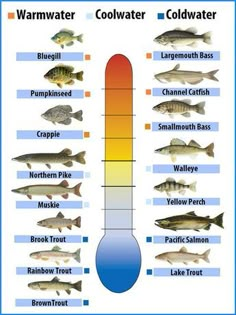 a thermometer showing different types of cold water fish and how to use it