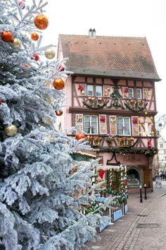 a christmas tree in front of a building with decorations on the windows and balconies