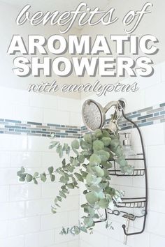 the benefits of aromaic showers with eucalyptuss and other essentials in this bathroom