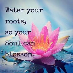 a pink water lily floating on top of a blue body of water with the words, water your roots, so your soul can blossom