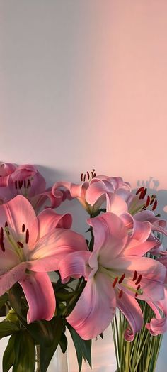 some pink flowers are in a glass vase