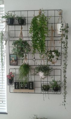 a wall mounted planter with plants on it