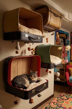 a cat laying in an open suitcase on the wall next to two other suitcases