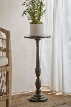 a potted plant sitting on top of a table next to a wicker chair