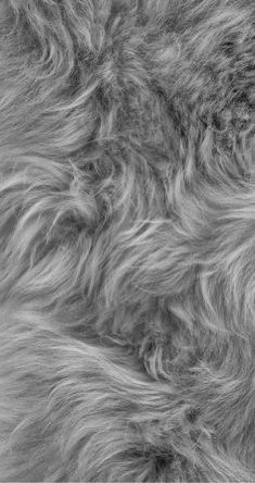 an animal fur texture is shown in this black and white photo, with some light gray tones