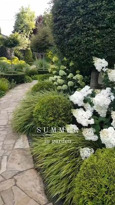 white flowers are in the middle of a garden