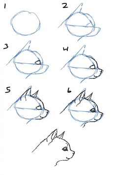 how to draw a dog's head with different angles and shapes, step by step