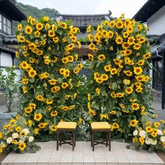 two yellow chairs sitting in front of a large sunflower arch with flowers on it