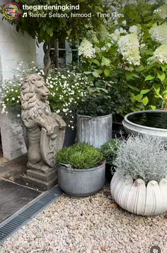 several pots with plants in them sitting on the ground