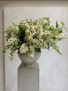 a vase filled with white flowers sitting on top of a cement block in front of a wall