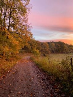 a dirt road surrounded by trees and grass