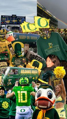 Oregon Ducks College Aesthetic Pacific University Oregon, Oregon Ducks Wallpaper Iphone, Oregon Ducks Football Wallpaper, Oregon Ducks Party, Autzen Stadium, University Inspiration, Oregon College