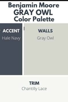 some gray paint colors with white and black text on the bottom right corner, and an accent color swatch below