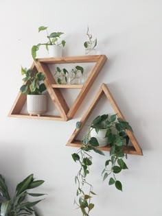 three wooden shelves with plants and potted plants on them hanging from the wall next to each other