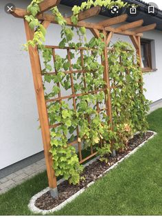 a trellis with lots of green plants growing on it's sides in front of a house