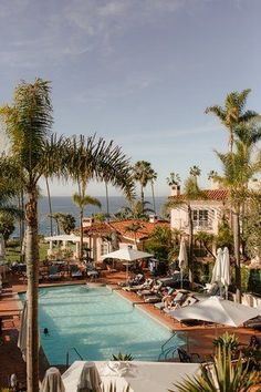 an outdoor swimming pool surrounded by palm trees