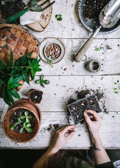 a woman is working in her garden with plants and seeding equipment on the table