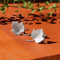 Our beautiful Sterling Silver Ivy Leaf Earrings are perfect for lovers of nature inspired jewellery. These gorgeous sterling silver earrings design features an Ivy leaf, captured in exquisite detail.  Ivy is probably on of the most recognisable plants and can often be seen adorning stately homes, country cottages or ancient castles. It is renown for its rugged determination and ability to survive. So why not get a pair of these wonderful earrings today, you're sure to love them. All Martha Jackson Jewellery is presented in a gift box with a blank card for you to write a short message on. Woodland Jewelry, Country Cottages, Stately Homes, Ivy Leaf, Earrings Design, Tiny Stud Earrings, Nature Inspired Jewelry, Dangly Earrings, Affordable Jewelry