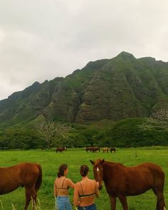 two women standing next to brown horses on a lush green field with mountains in the background