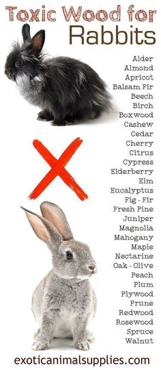 an image of rabbits and rabbits with the words'exotic wood for rabbits'on them